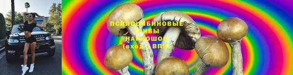 крисы Майский