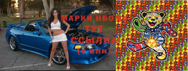 крисы Майский