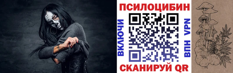 Галлюциногенные грибы Psilocybine cubensis  гидра зеркало  Чудово 