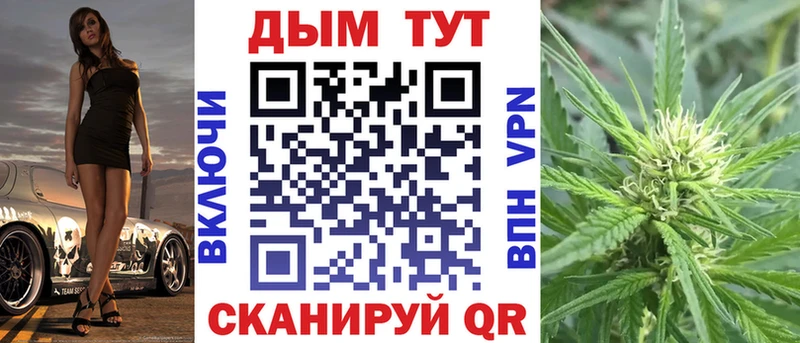 площадка как зайти  Чудово  Шишки марихуана сатива 